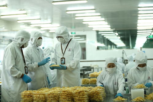 檢測服務為翼，助力山東即墨企業振翅高飛