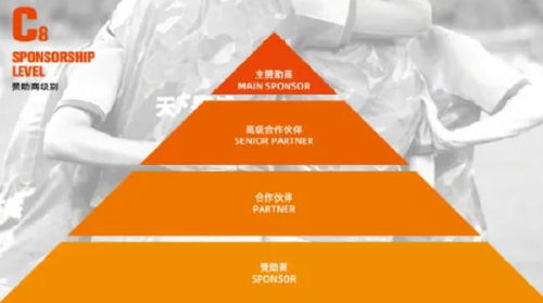 山東泰山開放冠名權(quán)招商，開啟品牌合作新篇章
